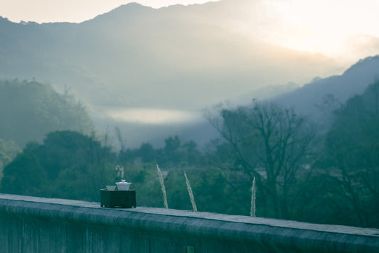 Discover the Best Spring Teas and Their Perfect Teaware Matches