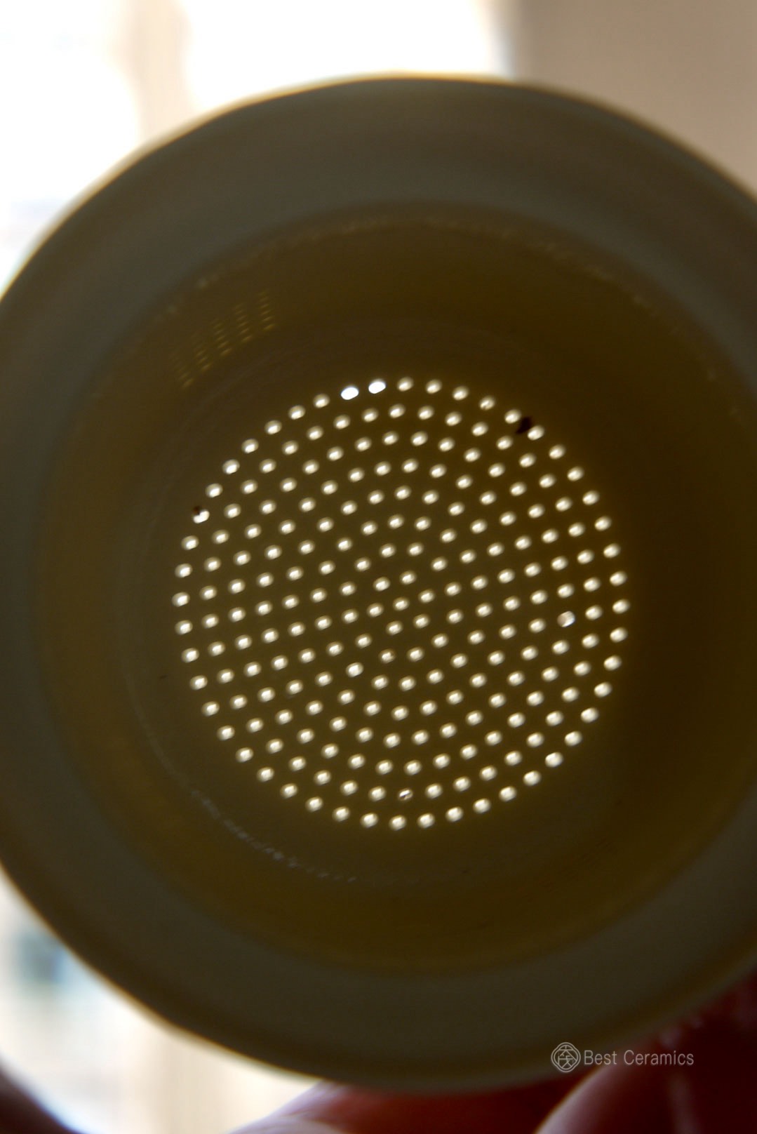 Wooden Handle Travel Tea System