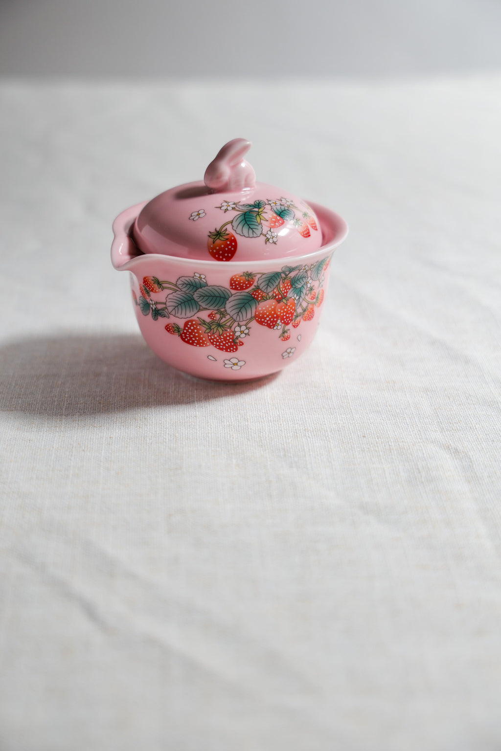 Strawberry Garden Portable Tea Set | 1 Pot 2 Cups Quick-Brew Kit