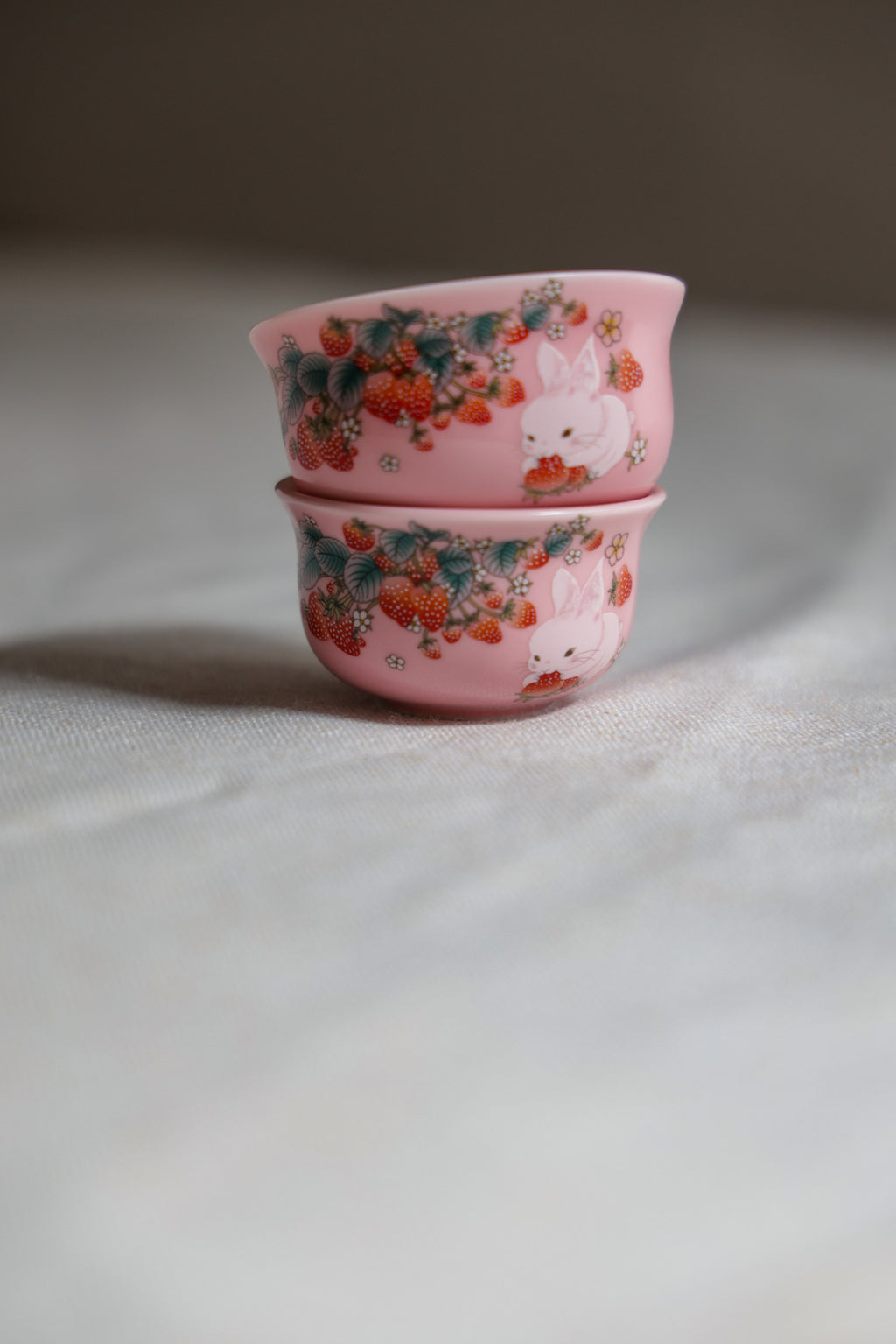 Strawberry Garden Portable Tea Set | 1 Pot 2 Cups Quick-Brew Kit