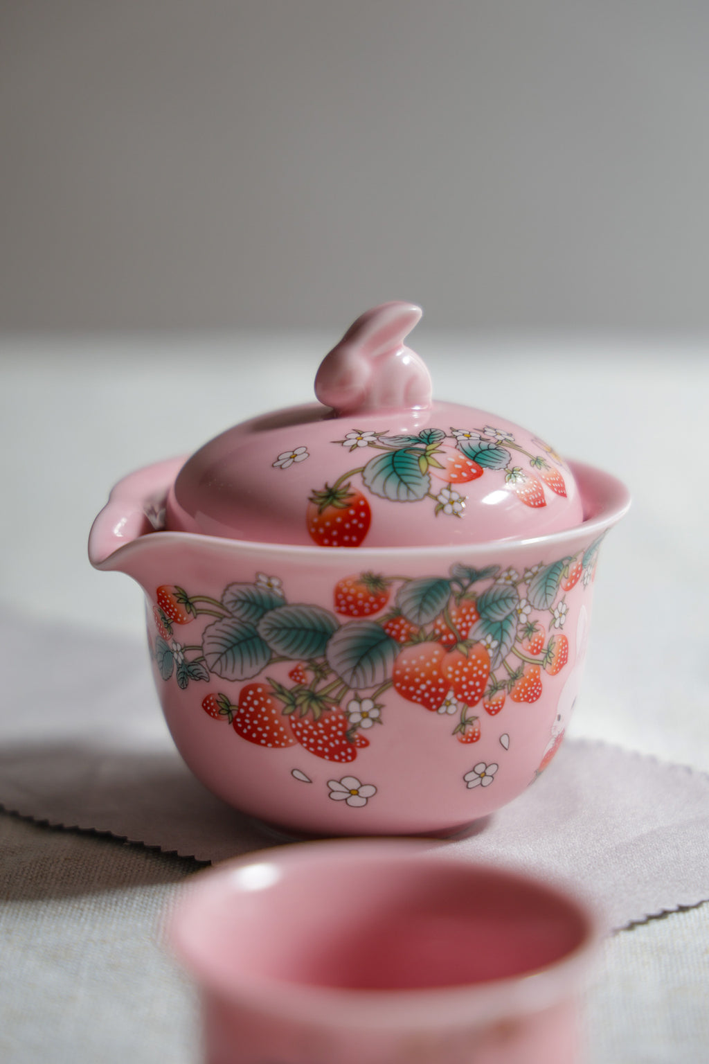 Strawberry Garden Portable Tea Set | 1 Pot 2 Cups Quick-Brew Kit