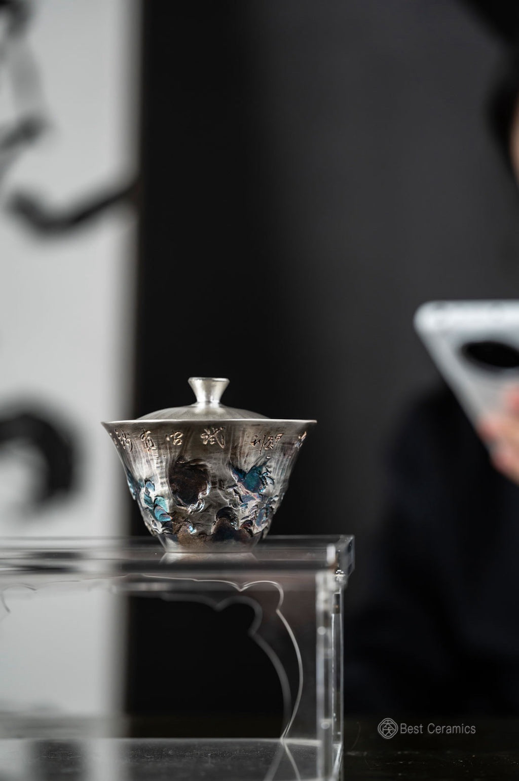 Mountains and Poetry Silver Gaiwan