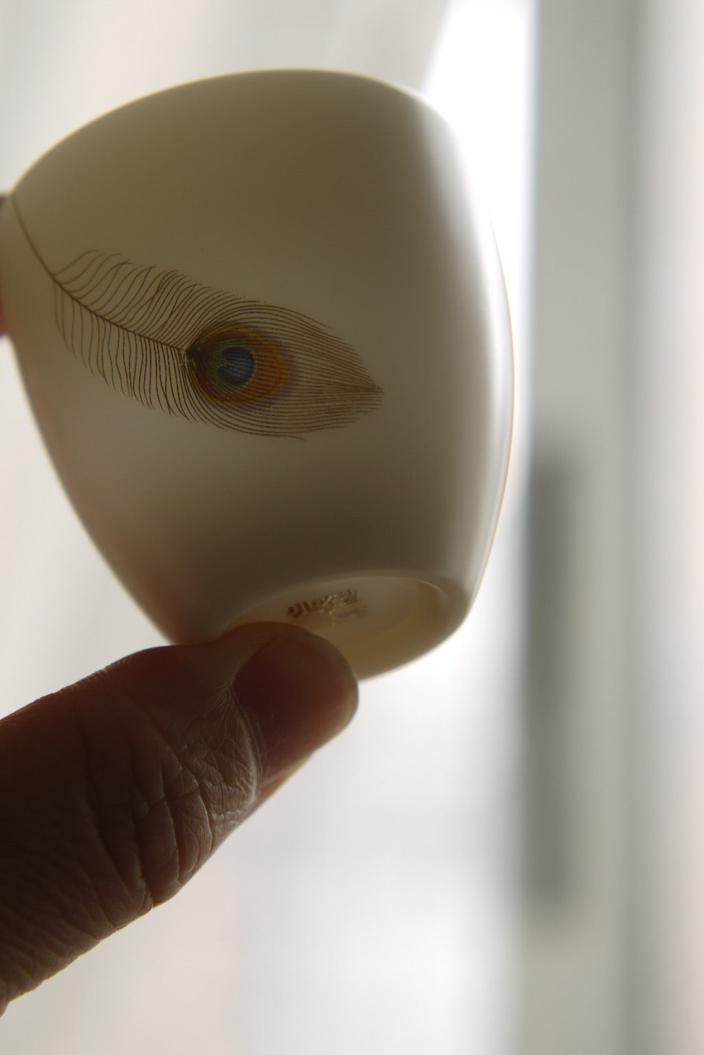 Gorgeous Peacock Teacup